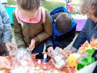 IMG-68f90cdca69e49985b6689279261b2f6-V